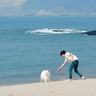 美国恐怖故事